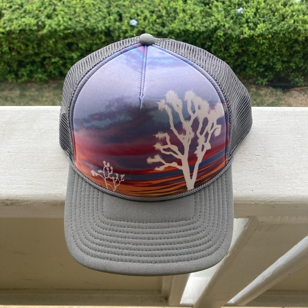 Patagonia Joshua Tree trucker hat